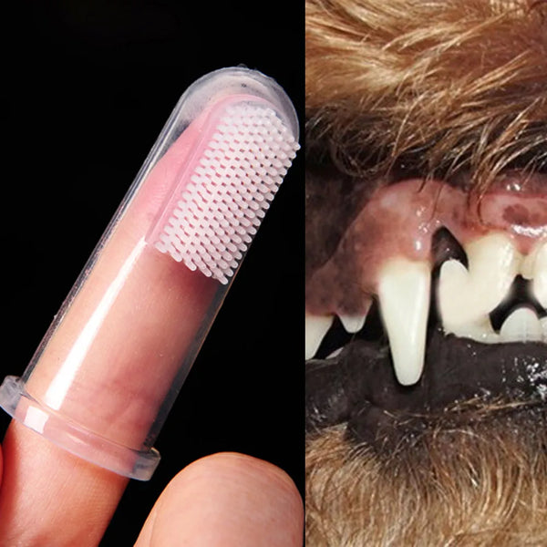 Ferramenta de escova de silicone pasta de dentes cães macio pet dedo escova de dentes higiene dental para cães médios maus