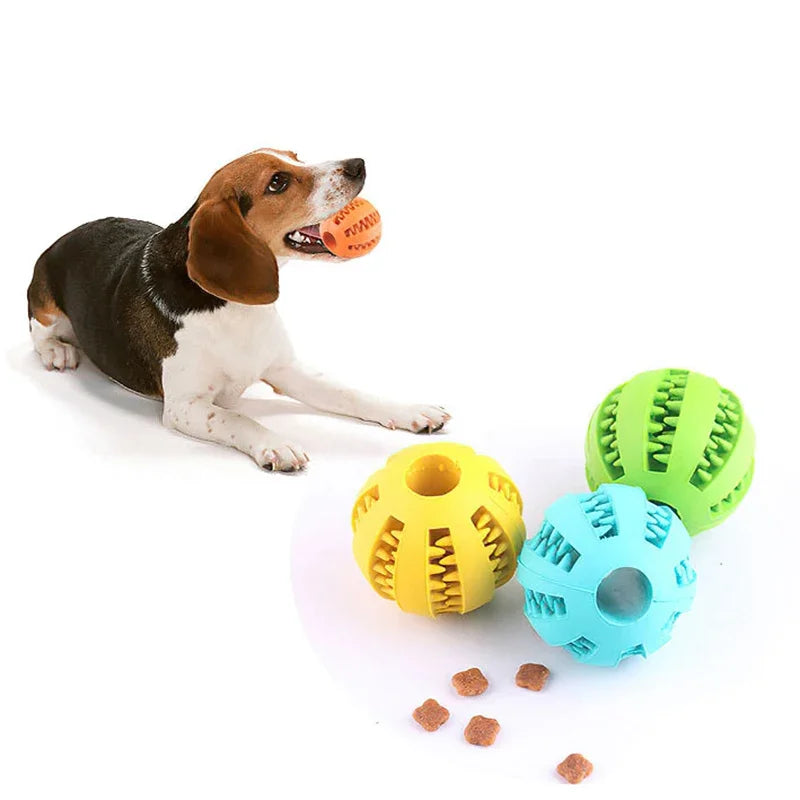 Bola de brinquedo para cães pequenos, elasticidade interativa, brinquedo de mastigar para limpeza dos dentes, bola de comida de borracha, acessórios para animais de estimação