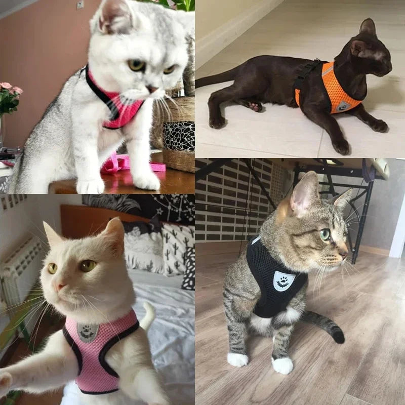 Coleira para cães e gatos, coleira de chumbo para caminhada, malha ajustável de poliéster, acessórios para animais de estimação pequenos e médios