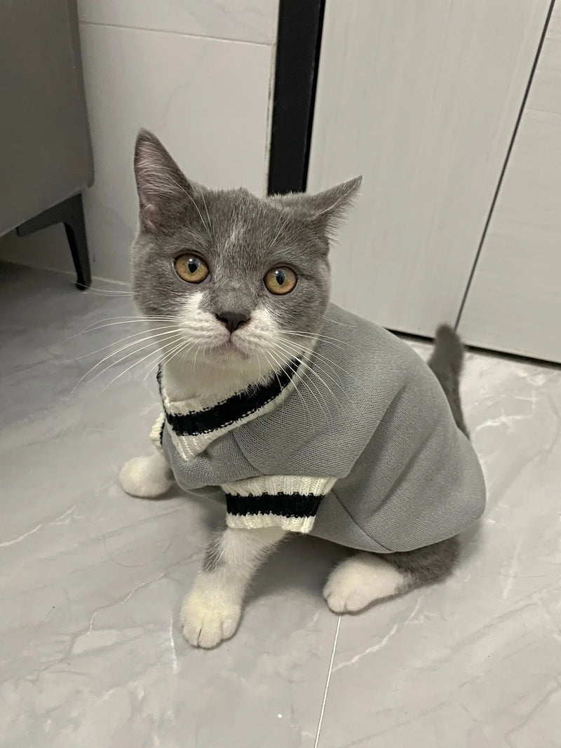 Suéter Quentinho para Gatos e Cães - Inverno