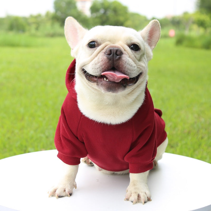 Cão inverno com capuz moletom para pequeno e médio cãozinho pet casaco filhote de cachorro gato jaqueta roupas chihuahuas traje buldogue francês